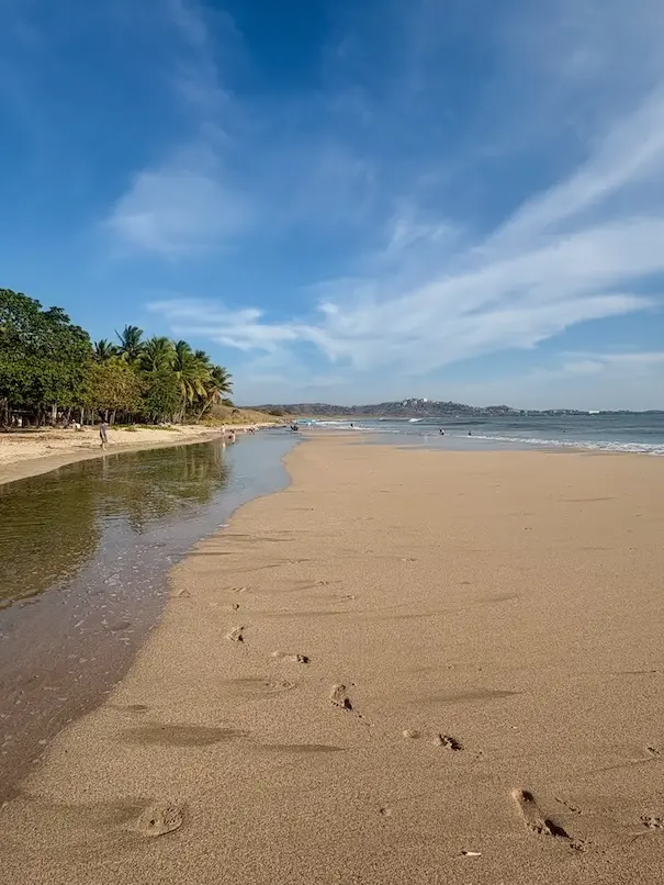 Palm-lined beach at Playa Grande, Costa Rica