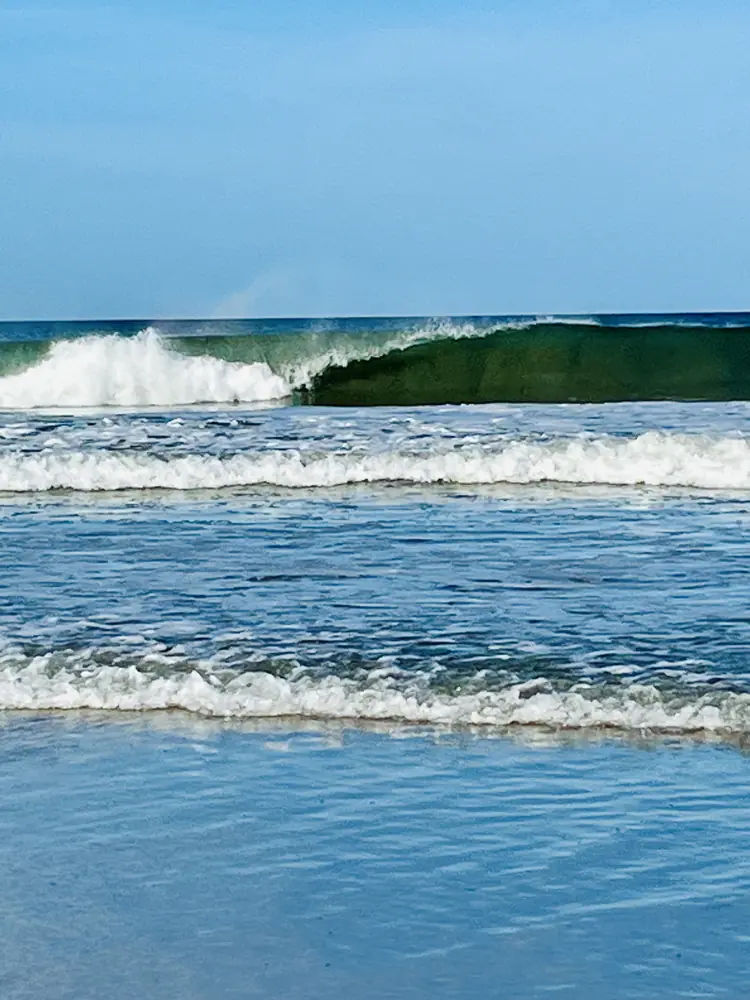A clean wave curling in the sun
