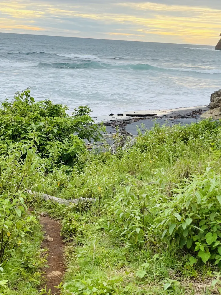 The trail opening onto the rocks at Playa Carbón