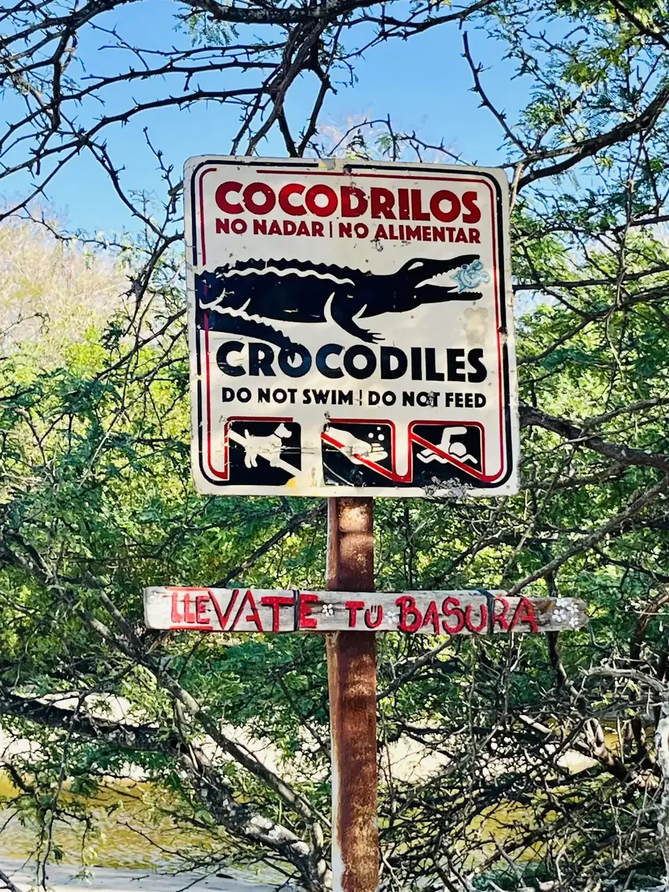 Crocodile warning sign near the estuary: do not swim, do not feed