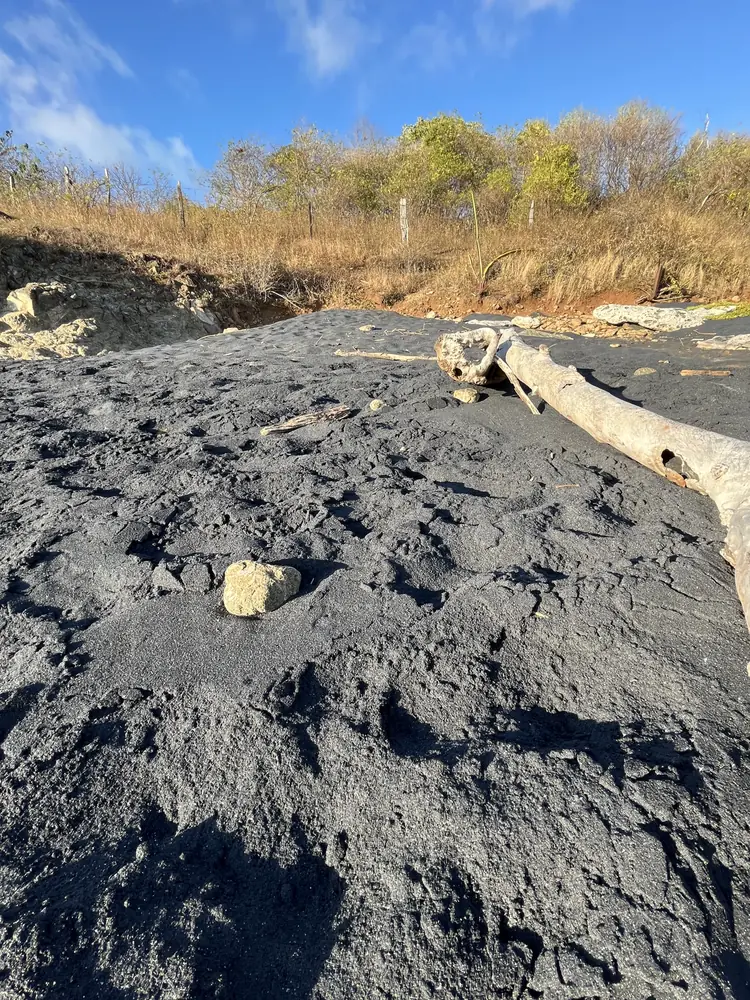 Dark volcanic sand and dry grass at Playa Carbón