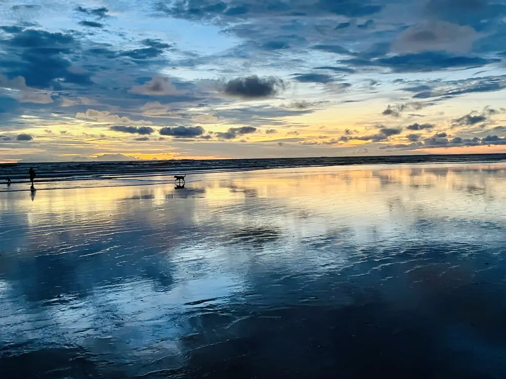 Dusk clouds reflected, a dog running far off