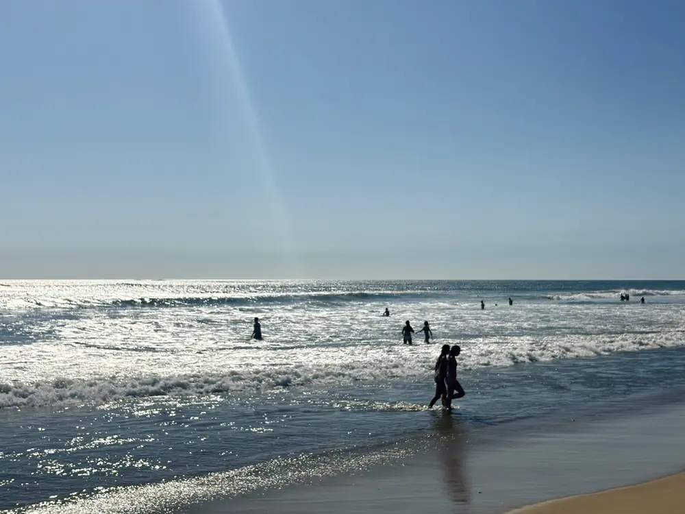 Swimmers in the late-day glare