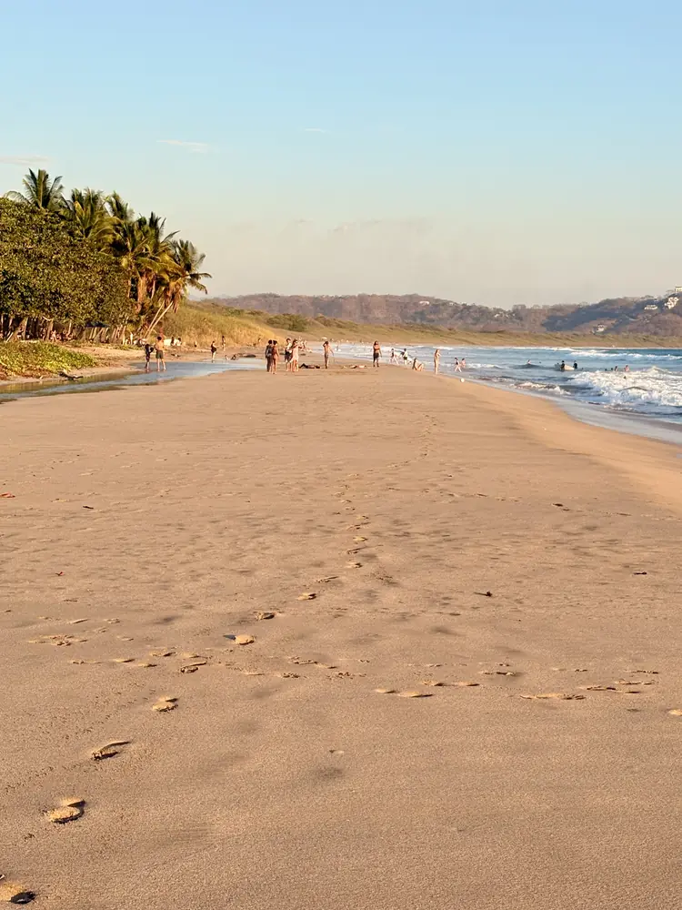 Golden hour along the shore