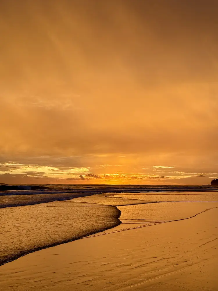 Golden light through a passing shower
