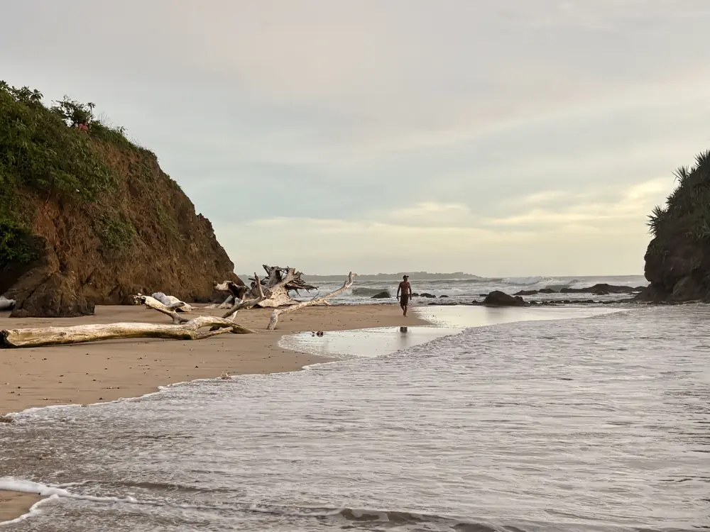 Low tide by the headland