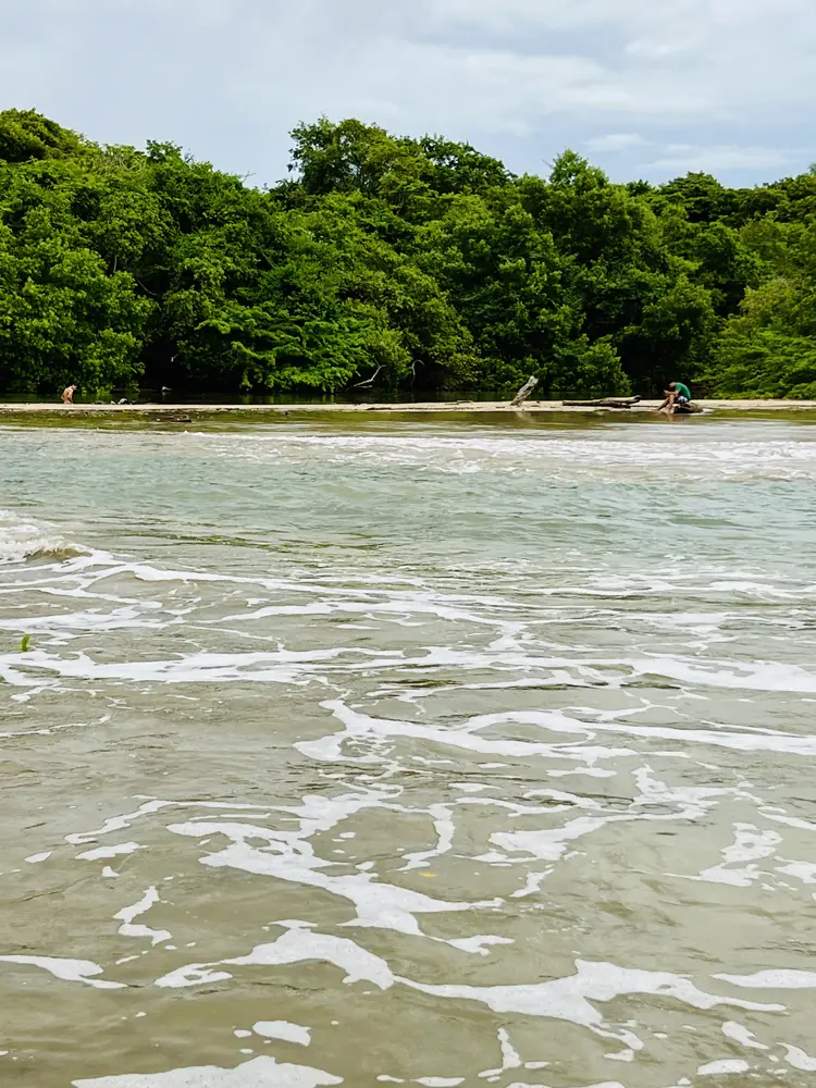 The Tamarindo estuary in green season