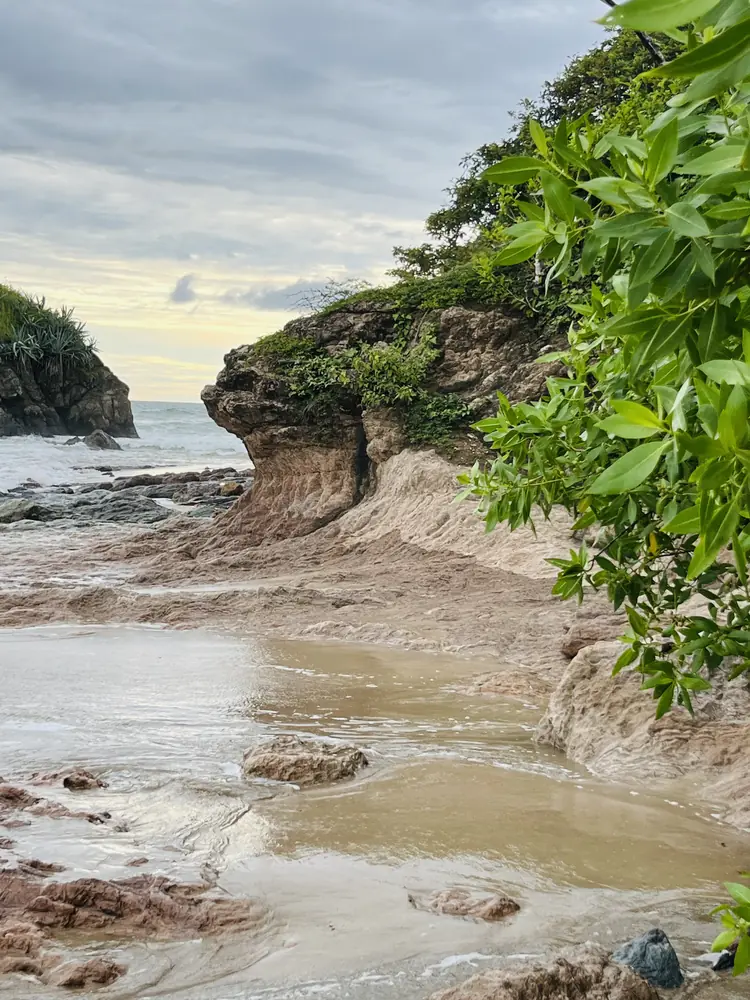 A rocky cove framed by leaves