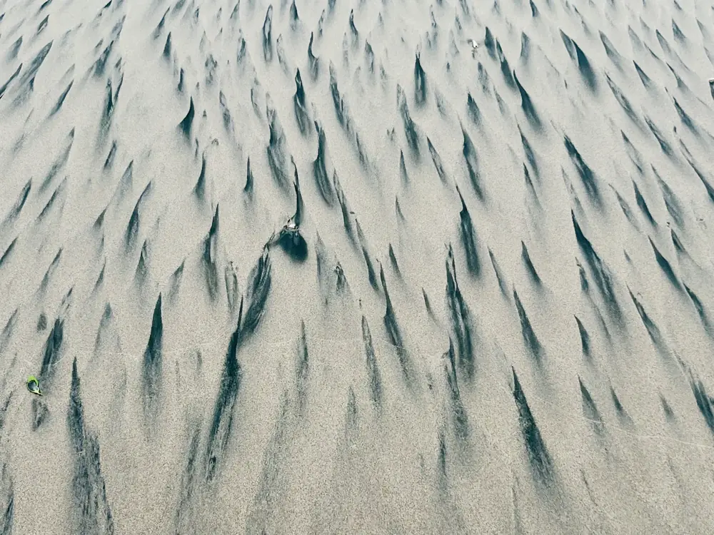 Black sand drawn into feathers by the backwash