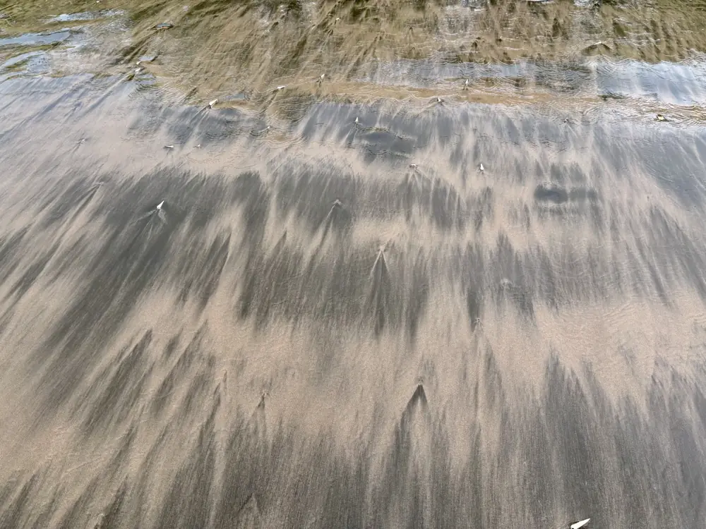 Dark streaks fanning out on the wet sand