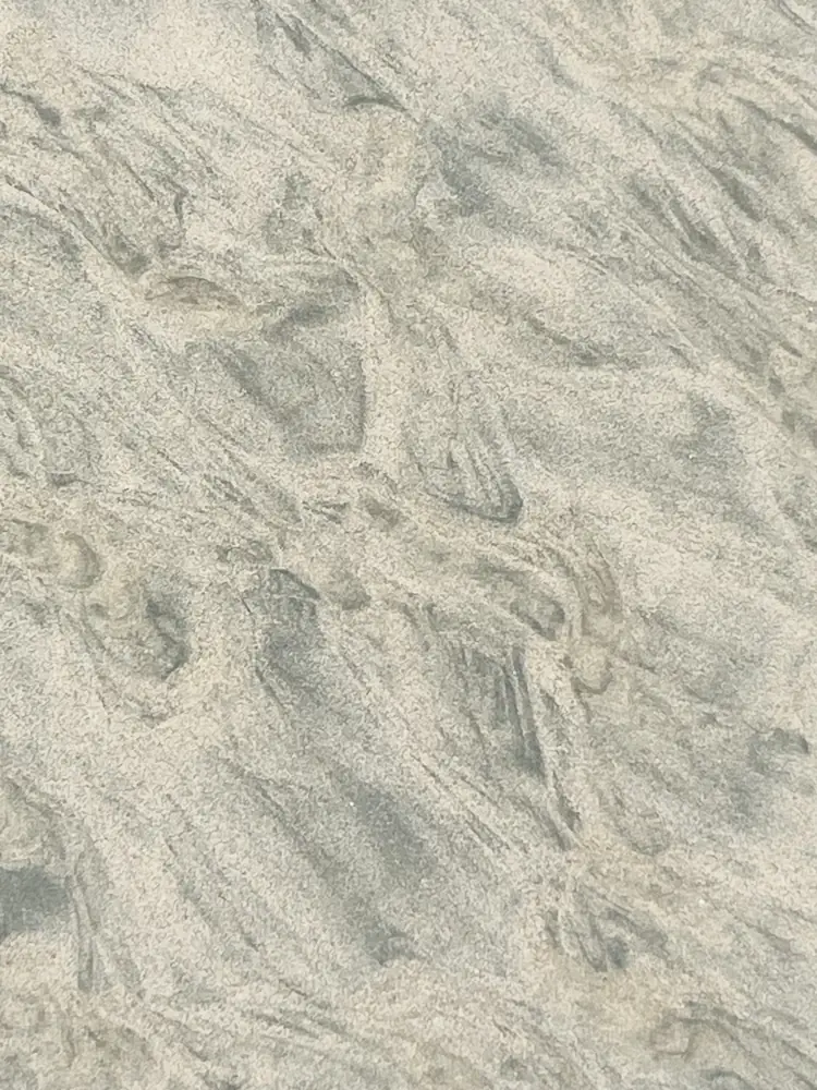 Swirls of wet sand
