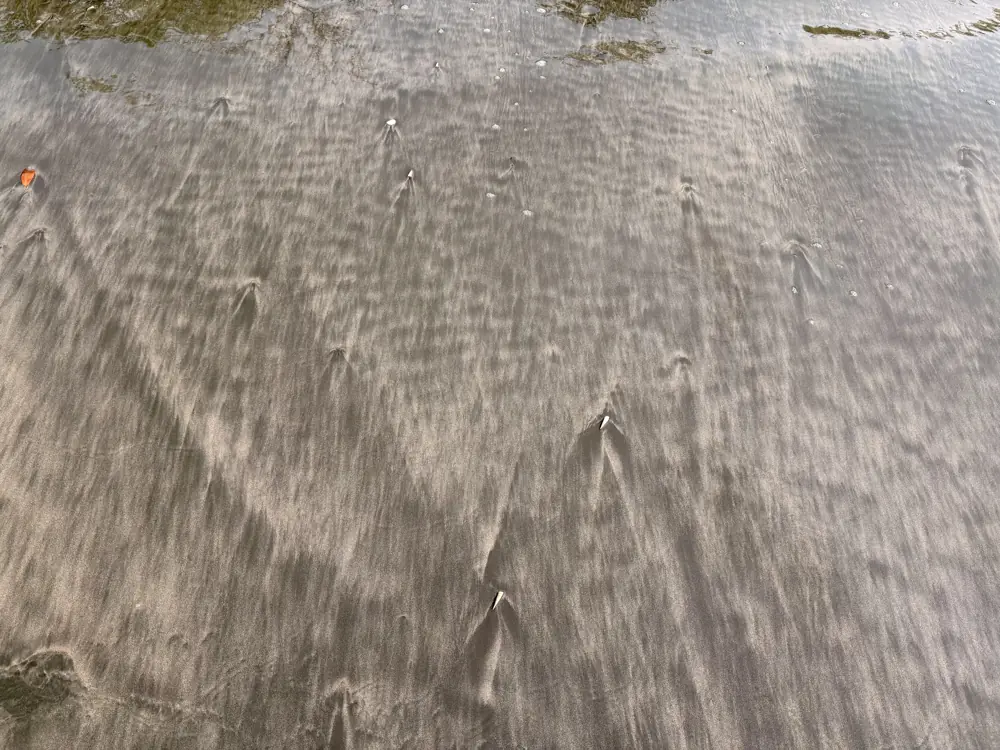 Streaks of black sand on the wet beach