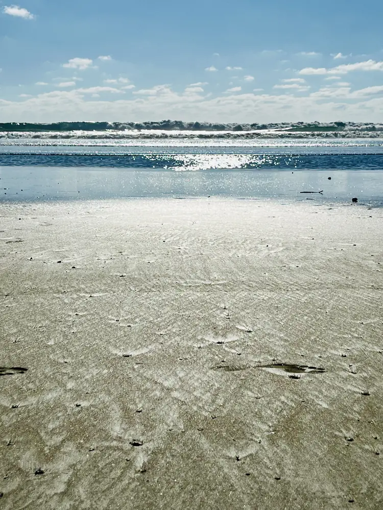 Silver light on the low-tide flats