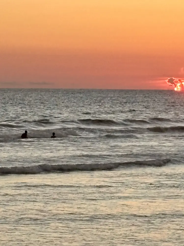 An evening swim as the sun touches the water