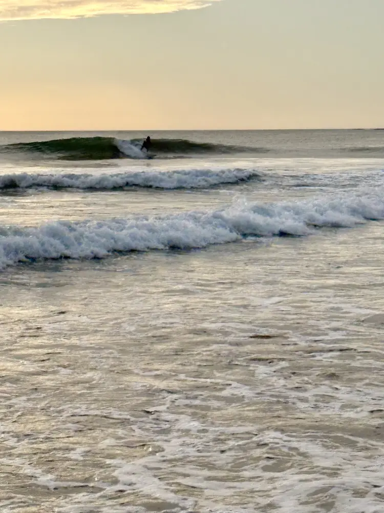 Surfer riding a wave at Playa Grande in golden light