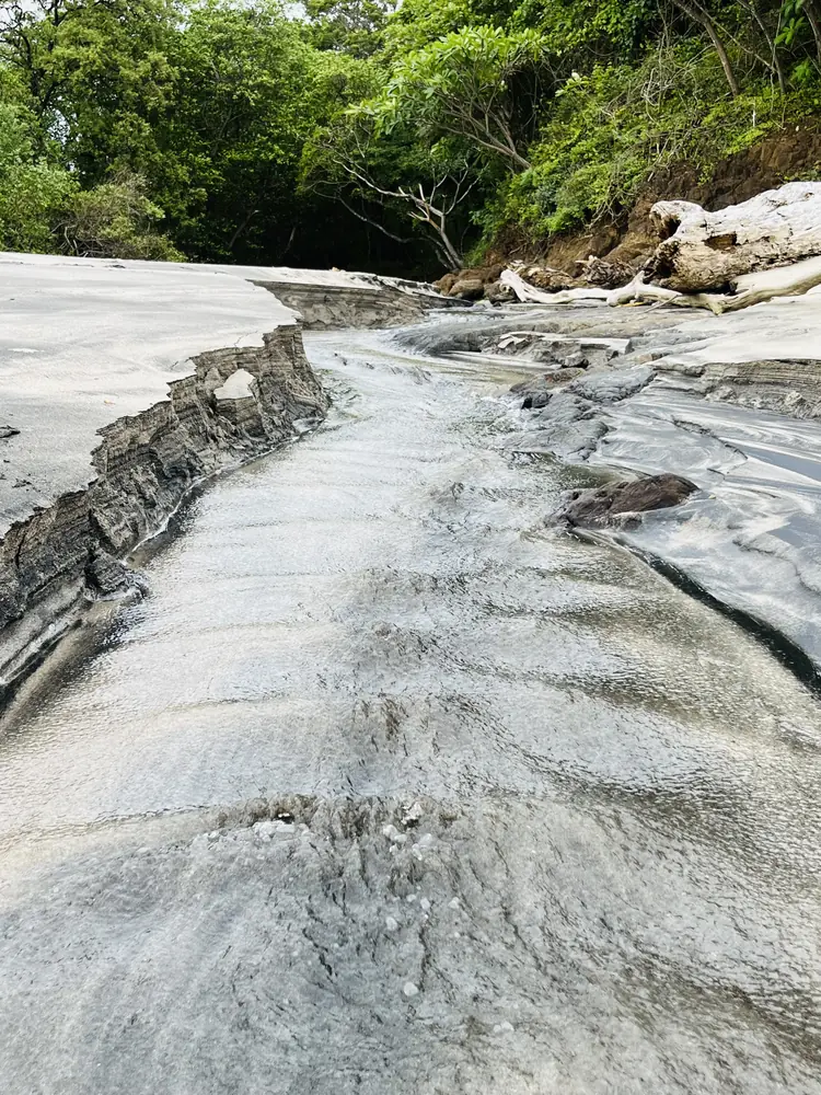 A channel carved in the rock, forest above