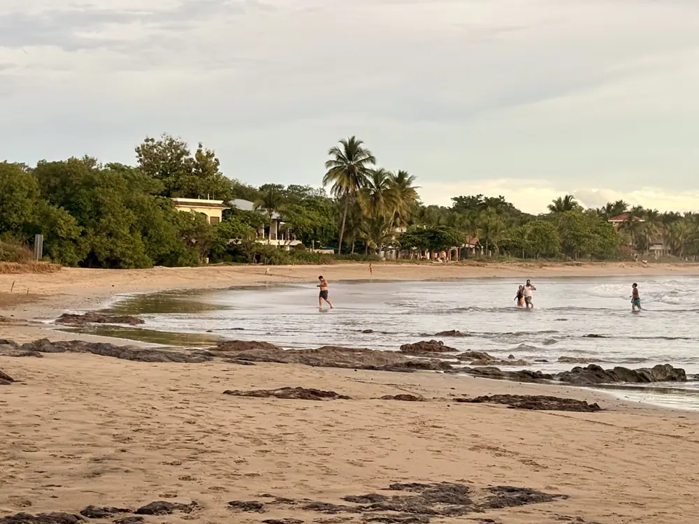 Palms and tide pools at Playa Grande